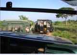 Yala National Park